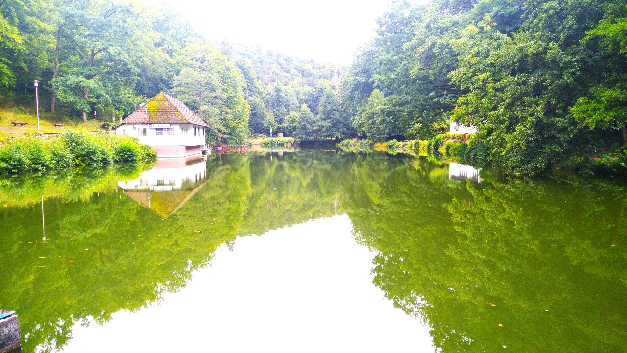 Bärenlochweiher