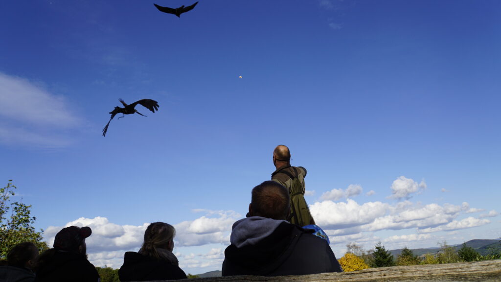 Wildpark am Potzberg