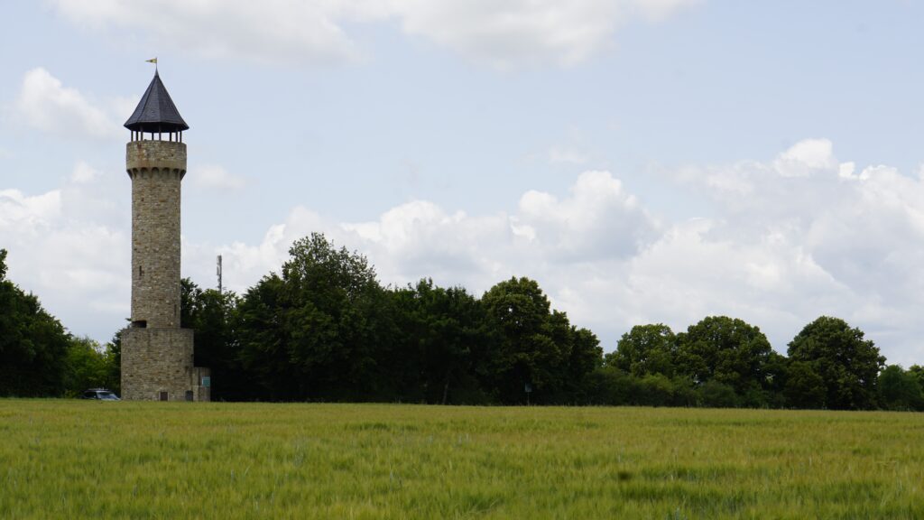Wartbergturn, Alzey