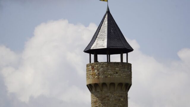 Wartbergturn, Alzey