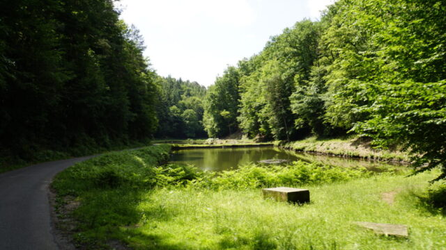 Schweinstal