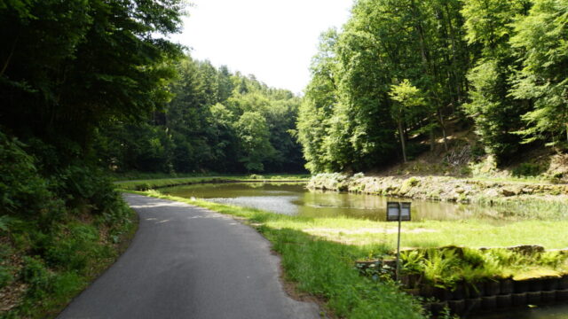 Schweinstal