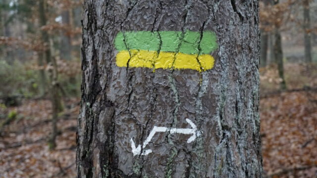 Pfälzerwald Grün-Gelber Balken Trail symbol