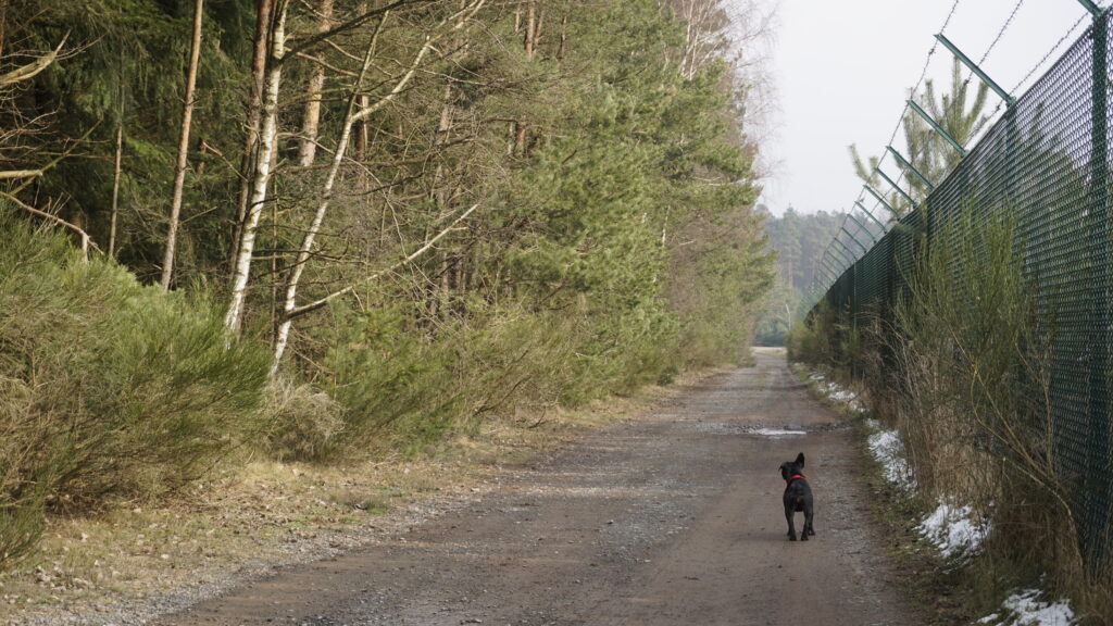 Hochspeyer Munitions Annex