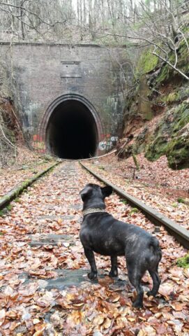 Stempelkopf Tunnel, west portal