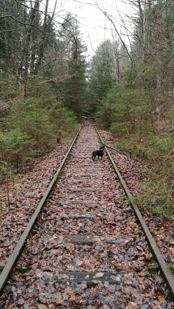 Stempelkopf Tunnel