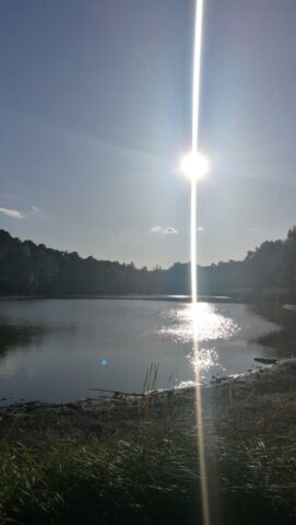 The Vogelwoog Lake in Kaiserslautern