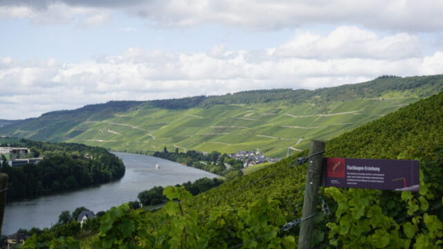 The Mosel River at Bernkastel-Kues