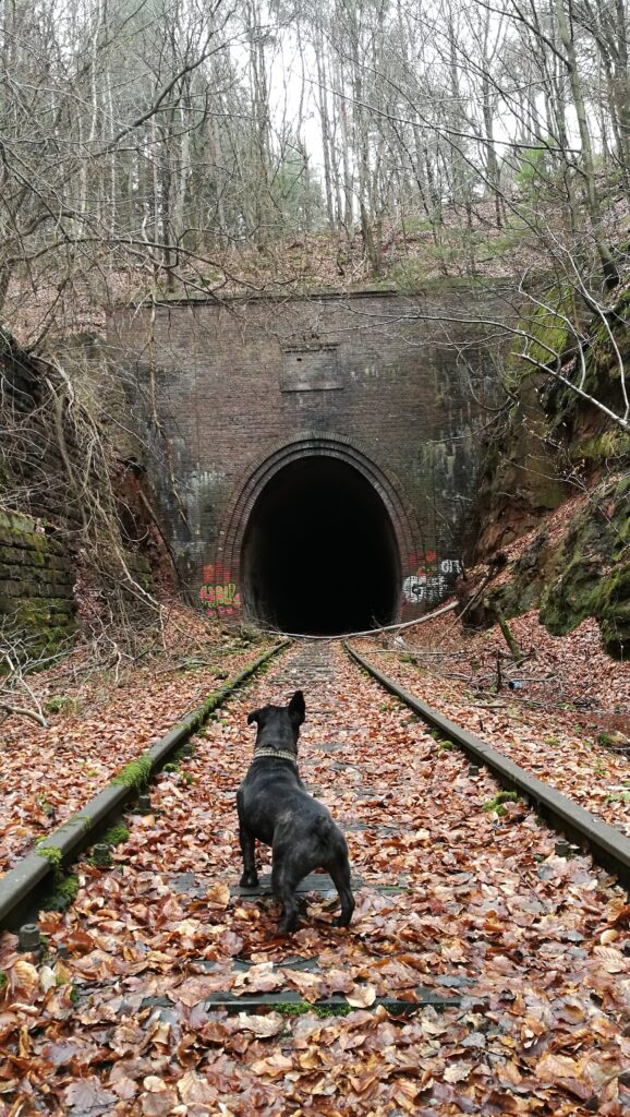 Stempelkopf Tunnel, west portal