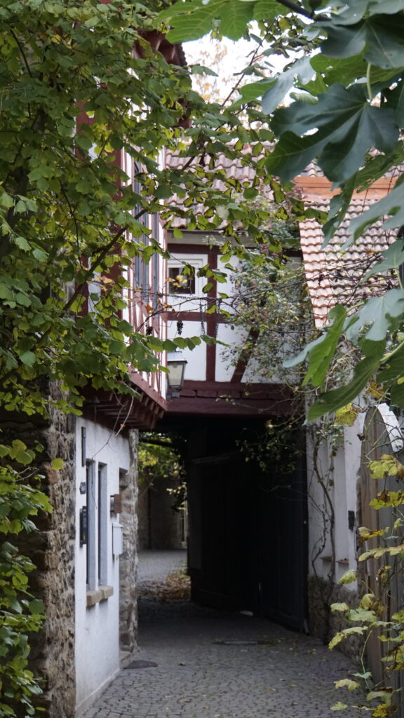 Freinsheim