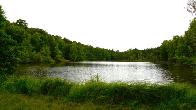 Enjoy the views around the lake