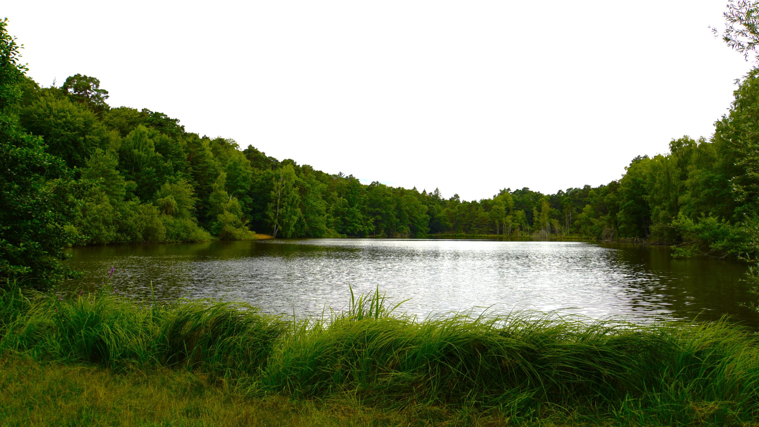Vogelwoog Lake