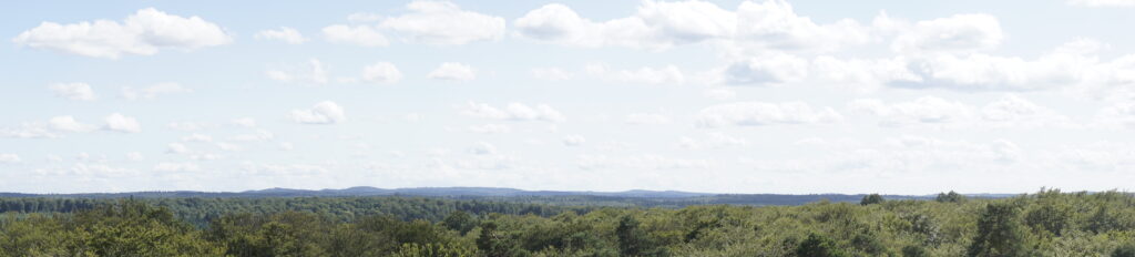The Palatinate Forest seen from the Humbergturm