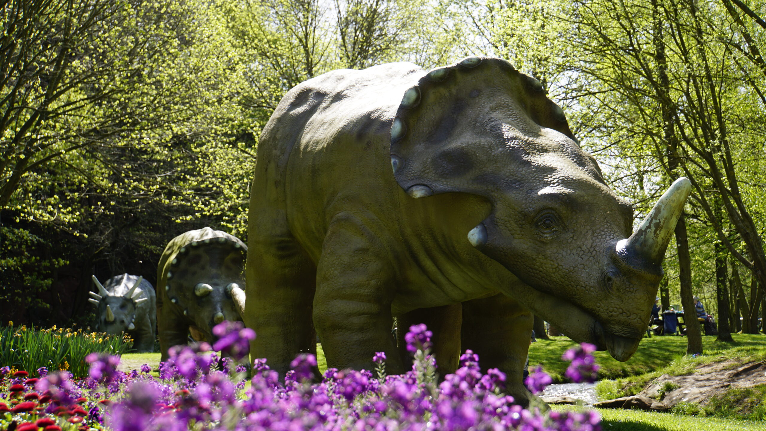 The Dinosaur Park