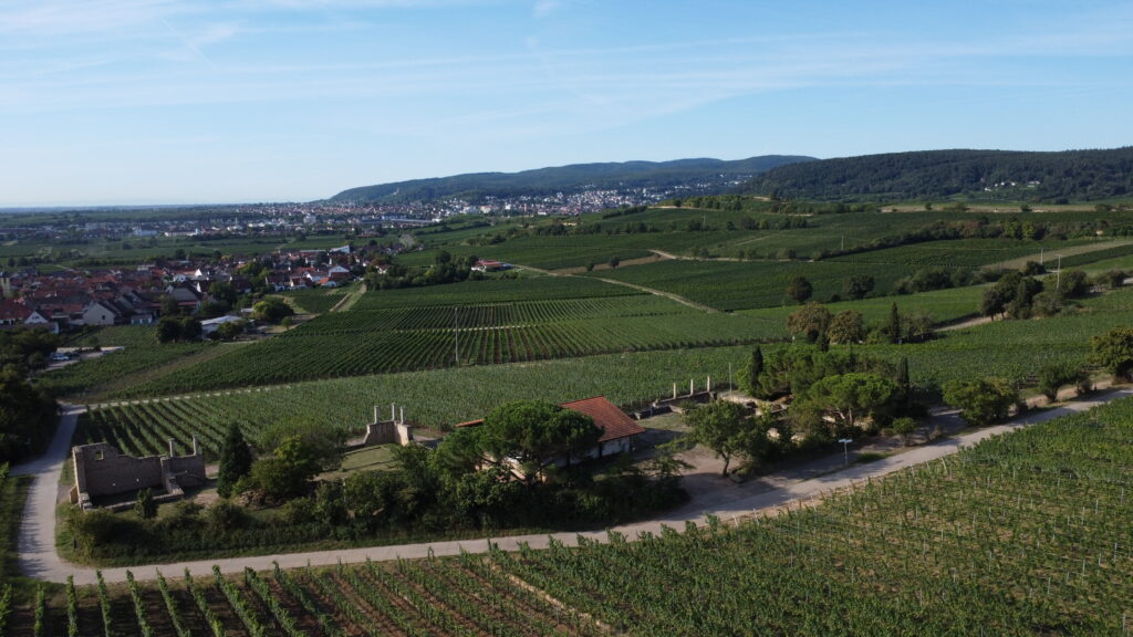 Villa Rustica Weilberg