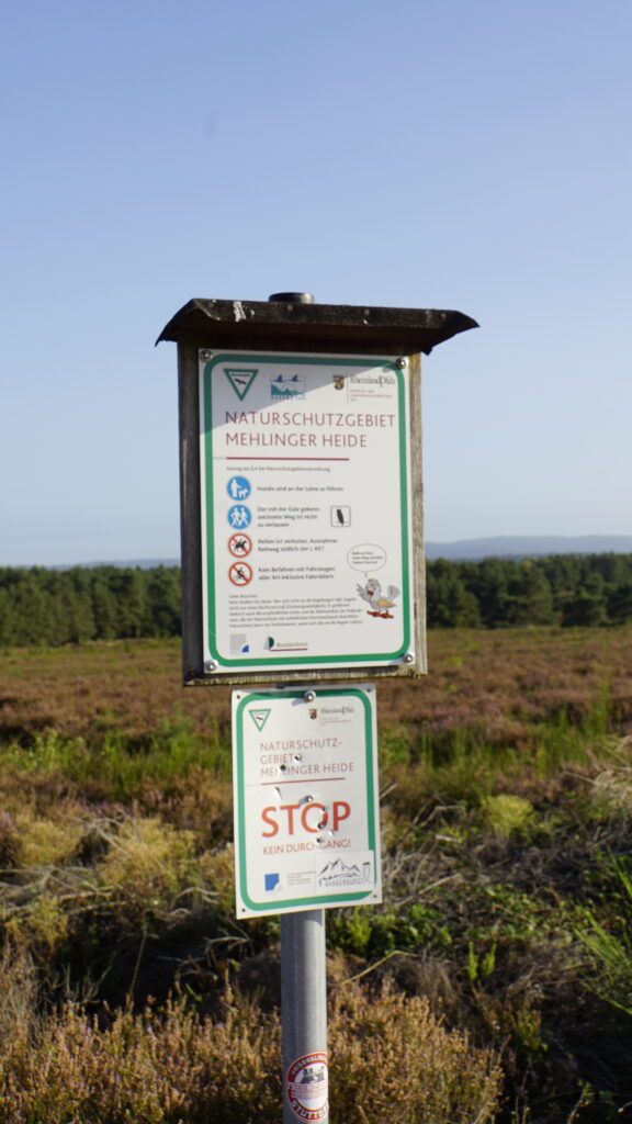 Mehlinger Heide