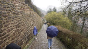Going down the front of the Heidelberg Castle