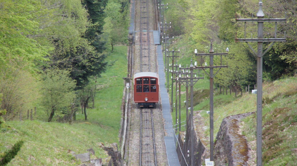 Looking down the mountain at one of the two funicular trains on the Heidelberg Bergbahn