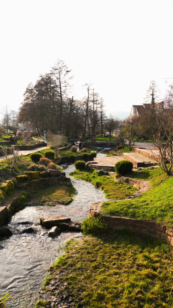 Little River at Alla Hopp Edenkoben