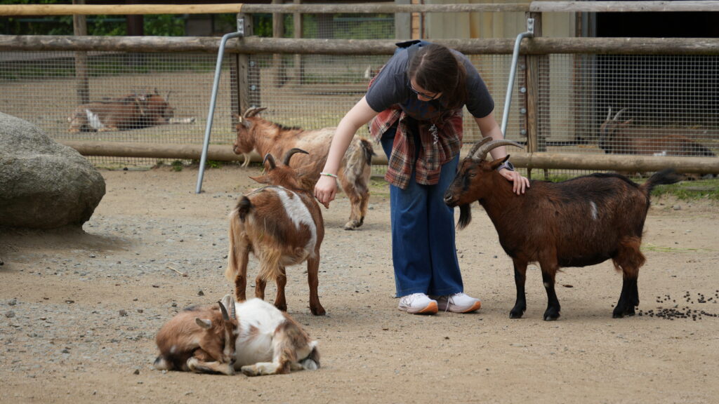 Petting Zoo at the Frankfurt Zoo