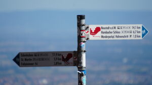 Signs signs